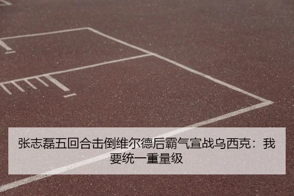 张志磊五回合击倒维尔德后霸气宣战乌西克：我要统一重量级